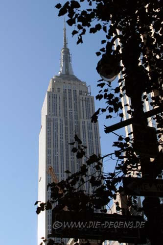 nyc_02806_500pixel