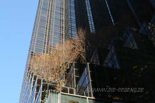 nyc_03022_ausschnitt_500pixel