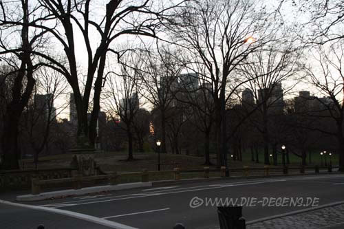nyc_03146_500pixel