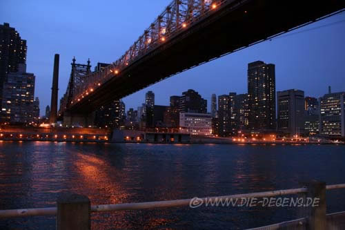 nyc_03847_500pixel