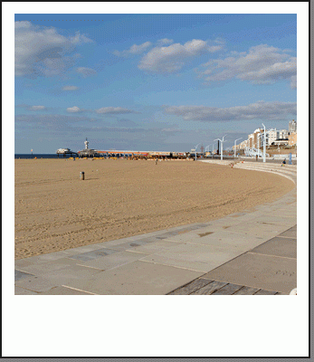 polaroids_reise_scheveningen_2014.gif