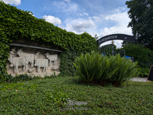 PXL_20260602_141659978