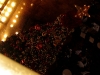 ixus_90is_00557_bearb