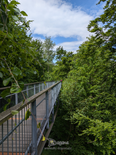 PXL_20250526_100145734