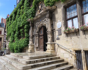 Harz im Spät-Frühling 2025 (Teil 2)