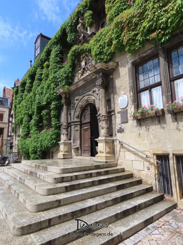 Harz im Spät-Frühling 2025 (Teil 2)