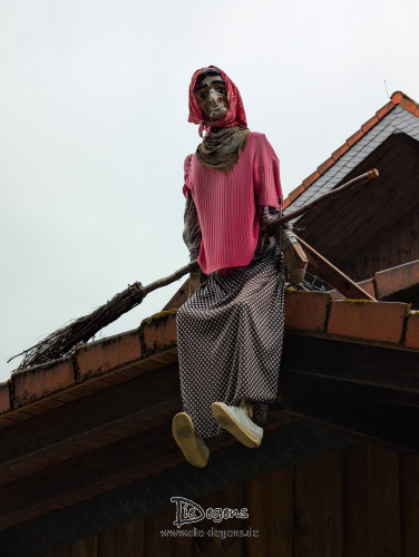 Harz im Spät-Frühling 2025 (Teil 1)