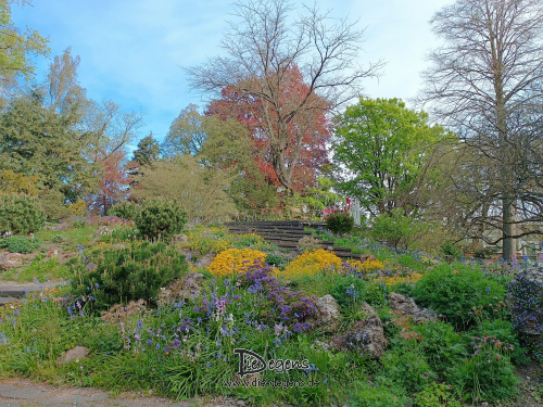 Eine kleine Oase in der Stadt